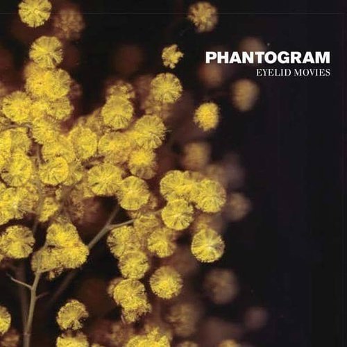Phantogram - Eyelid Movies Vinyl Record - Indie Vinyl Den